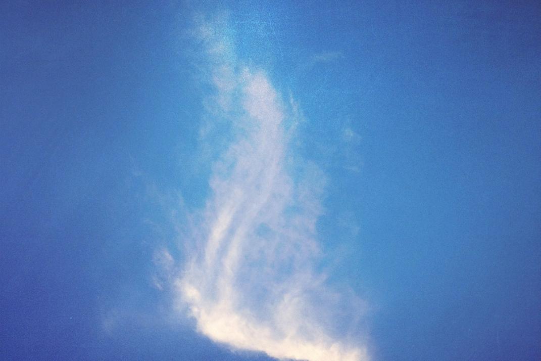 T.C. Yenipazar Belediyesi